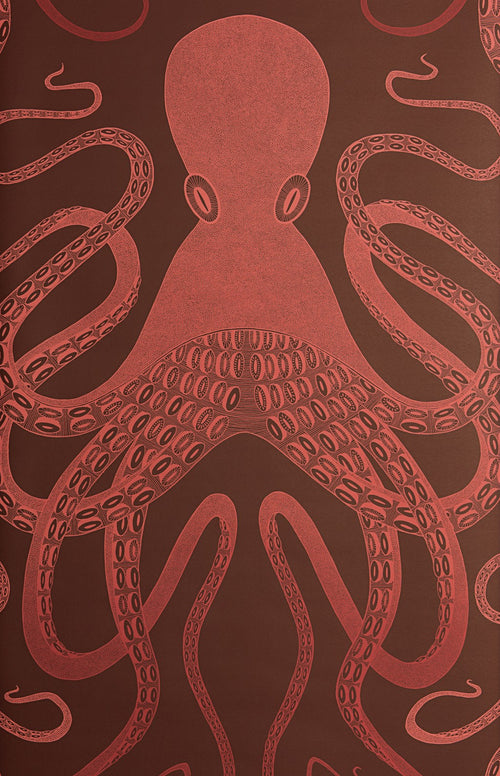 Octopus wallpaper