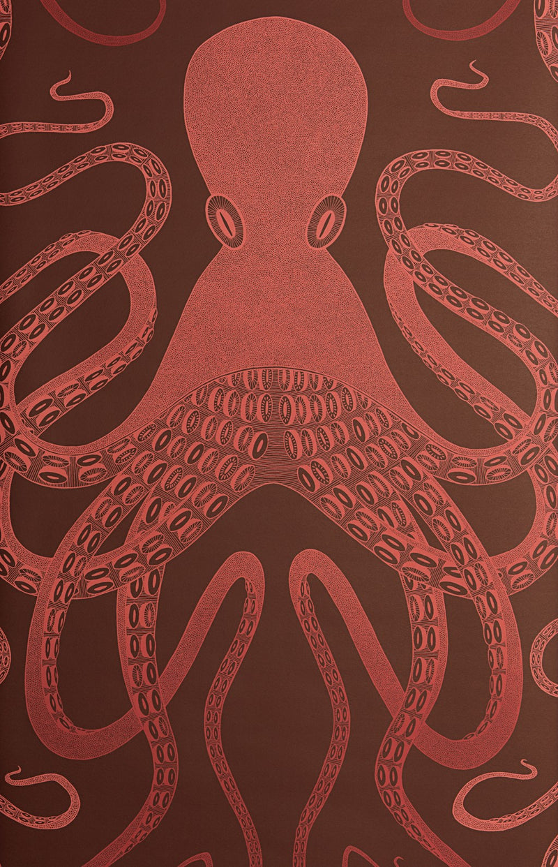 Octopus wallpaper