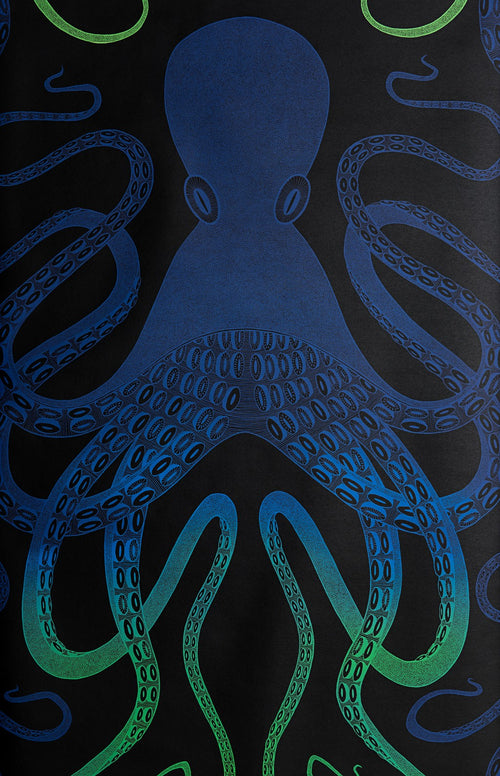 Octopus wallpaper