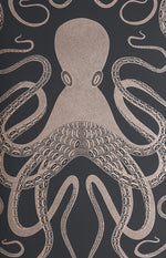 Octopus wallpaper