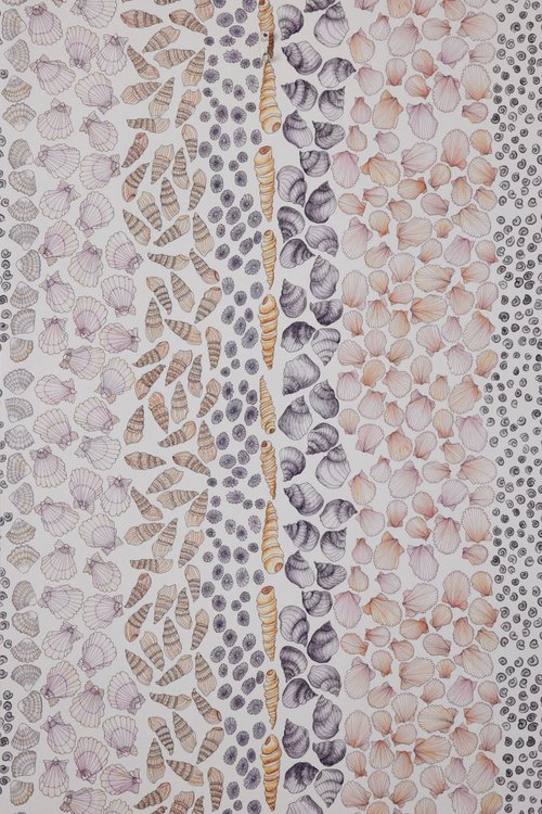 SHELLS WATERCOLOUR tapeet