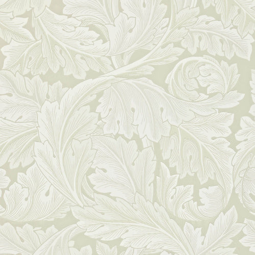 ACANTHUS wallpaper