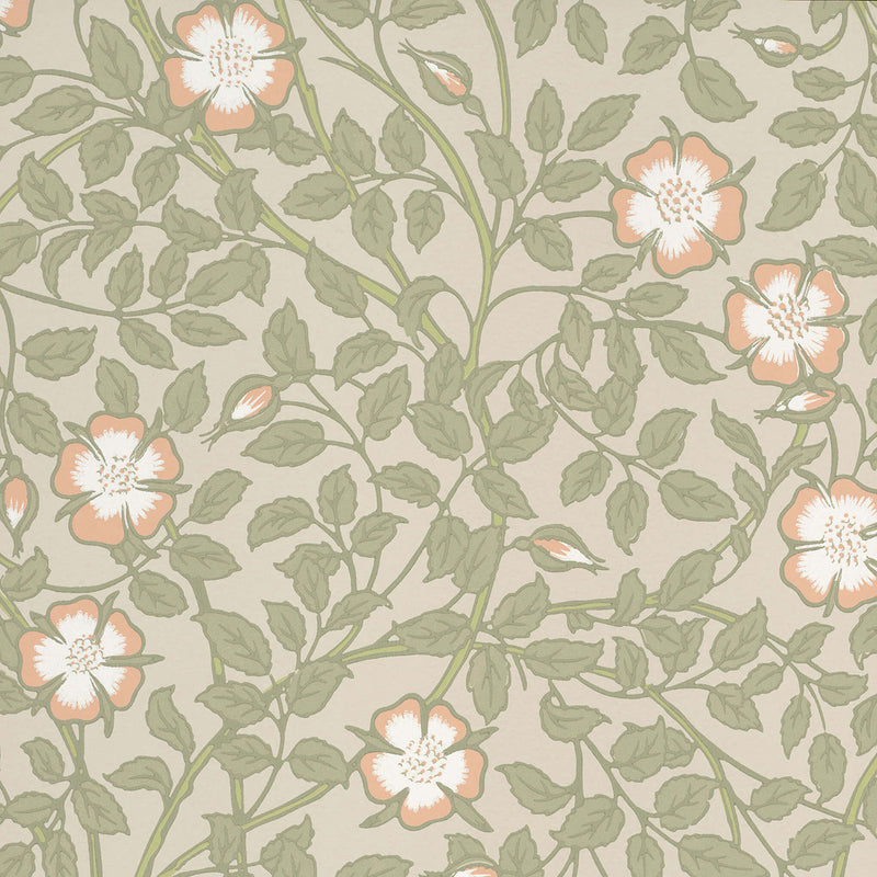 BRIAR ROSE tapeet