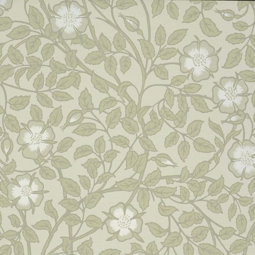 BRIAR ROSE tapeet