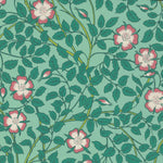 BRIAR ROSE tapeet