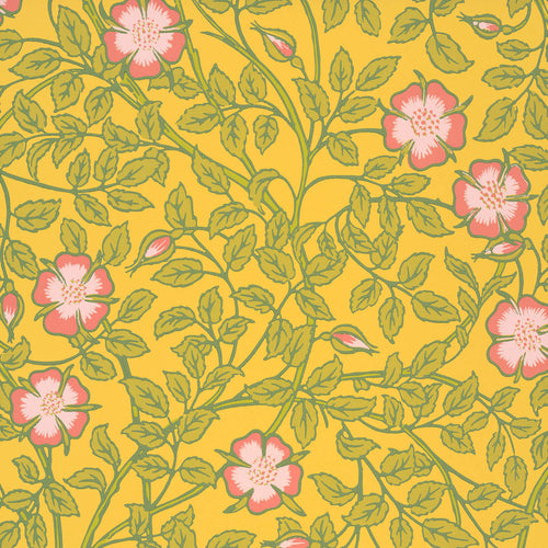 BRIAR ROSE tapeet