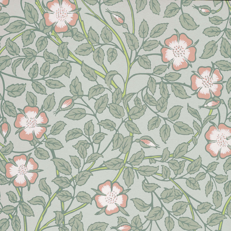 BRIAR ROSE tapeet