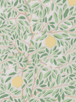 CITRUS - ASHY GREENERY wallpaper