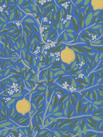 CITRUS - LAPIS BLUE wallpaper