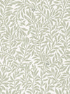 SERPENTIN - MOSS GREEN wallpaper