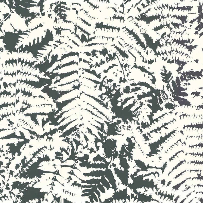 FERN tapeet