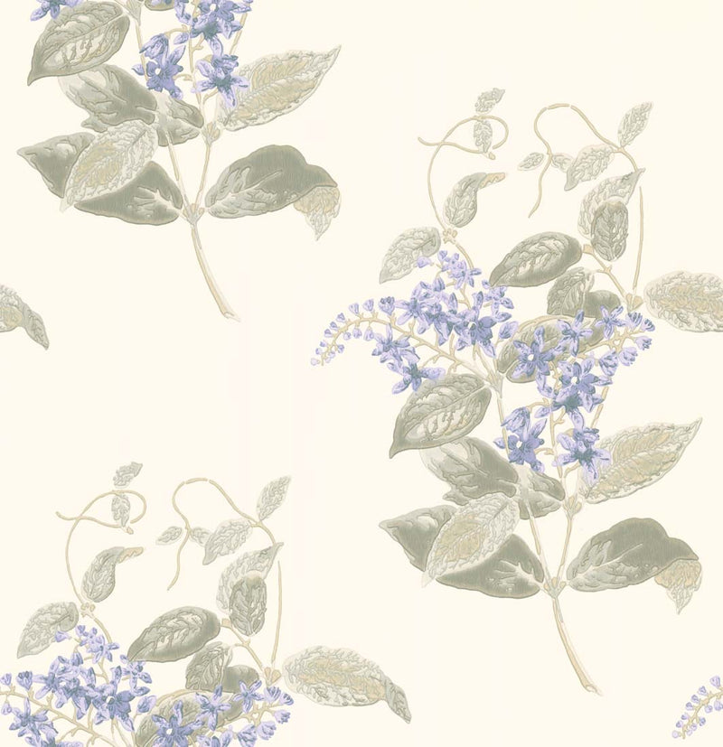 MADRAS VIOLET wallpaper
