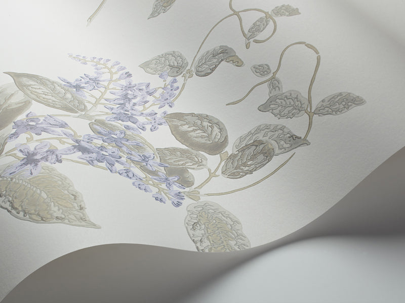 MADRAS VIOLET wallpaper