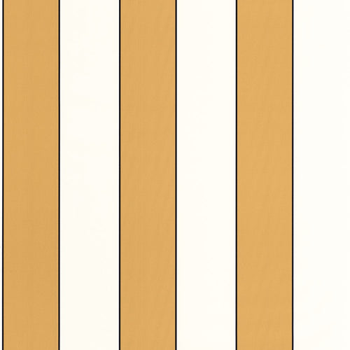 GOLDEN LINES tapeet