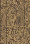 ZEBRAWOOD wallpaper