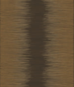 Plume