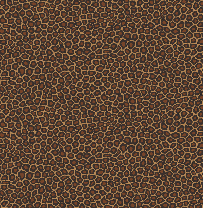 Senzo Spot