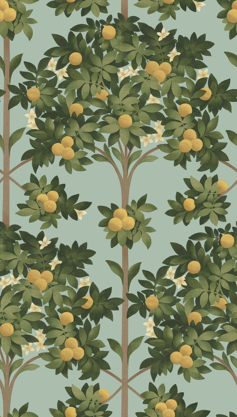 Orange Blossom