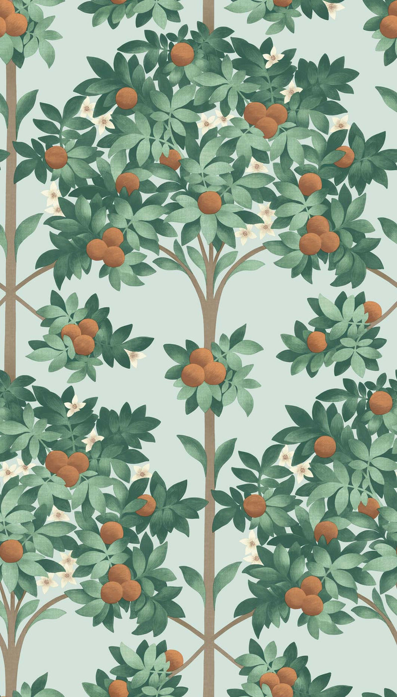 ORANGE BLOSSOM tapeet