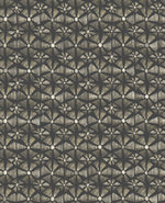 KALAHARI wallpaper