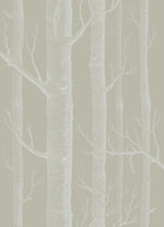 WOODS wallpaper