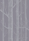 WOODS wallpaper