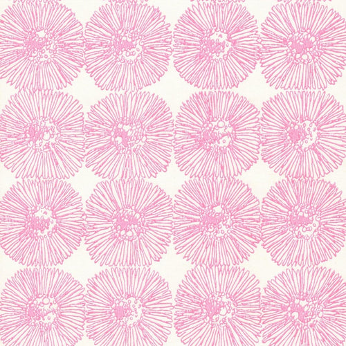 HAHTUVA wallpaper