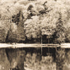 AUTUMN wallpanel