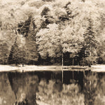 AUTUMN wallpanel