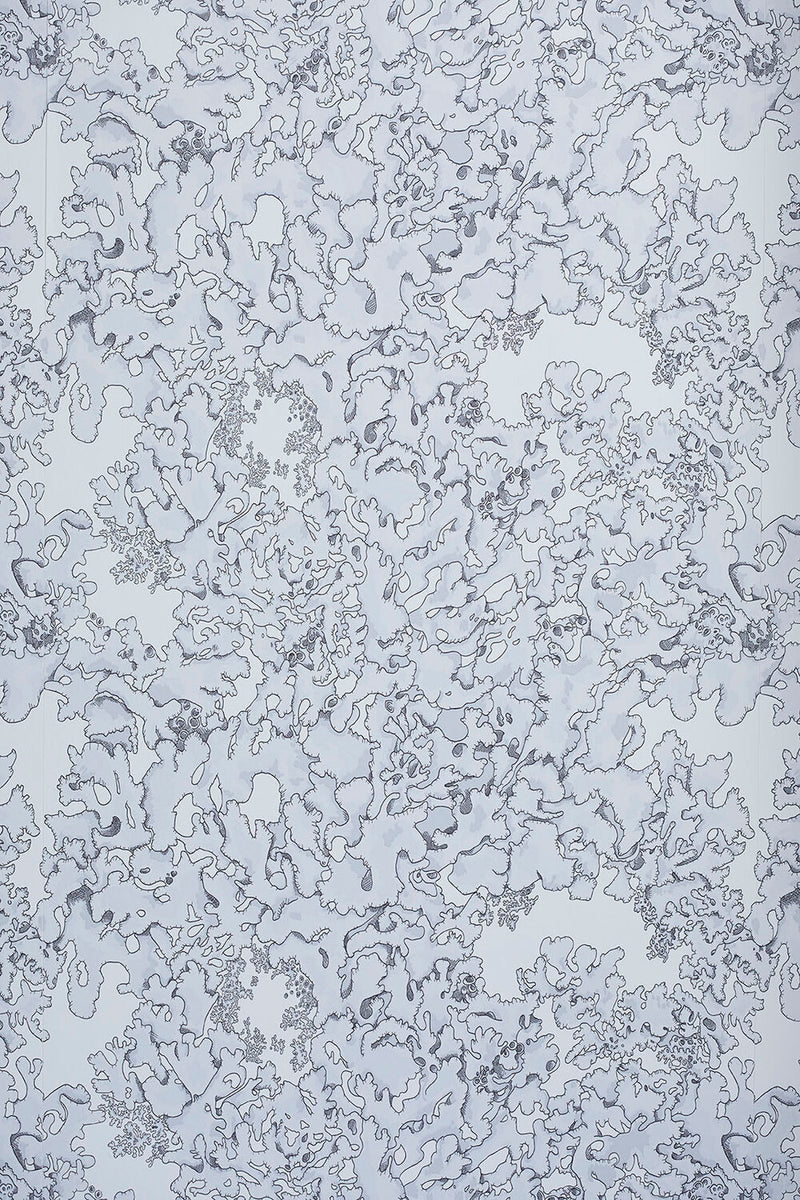 Lichen Wallpaper: Dust