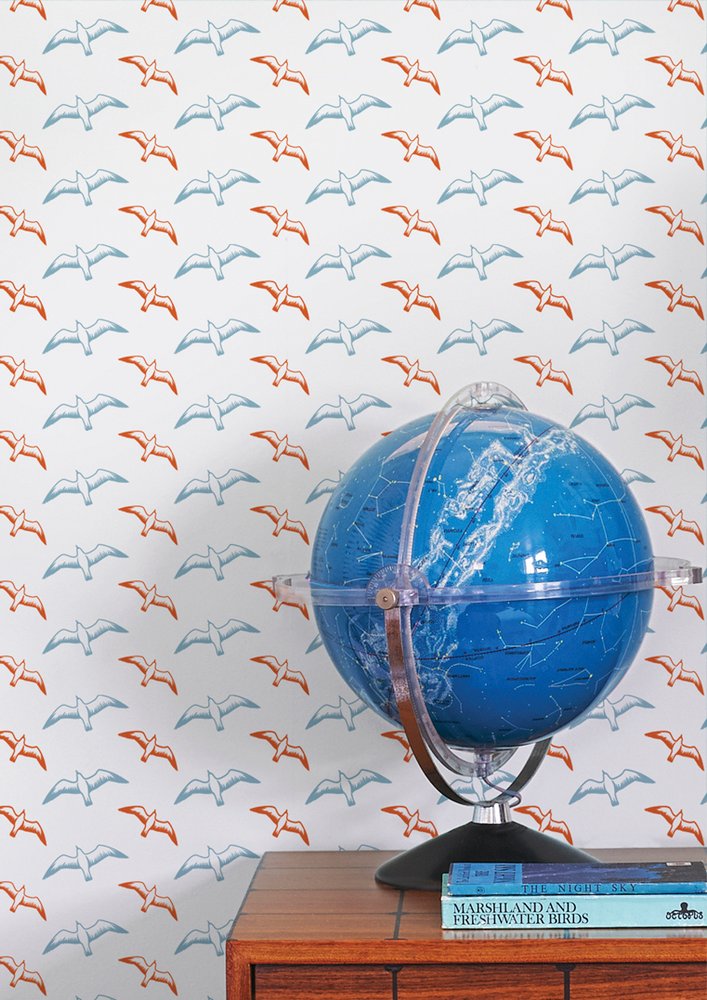 Gulls Wallpaper - Chalkhill Blue