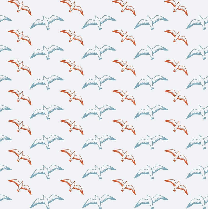 Gulls Wallpaper - Chalkhill Blue