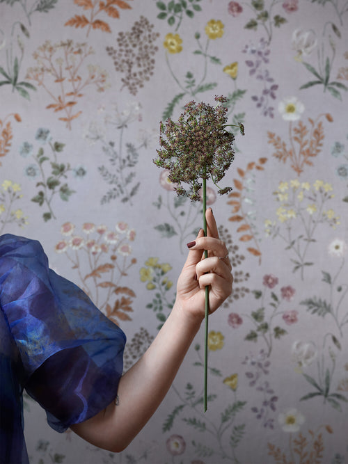 BOTANICA pilttapeet