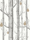 WOODS & PEARS tapeet