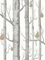 WOODS & PEARS tapeet