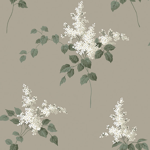 LILACS tapeet