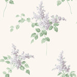 LILACS tapeet