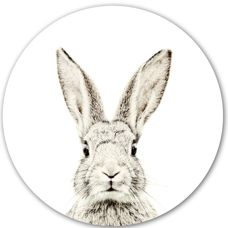 Magnetiline seinakleebis | Rabbit