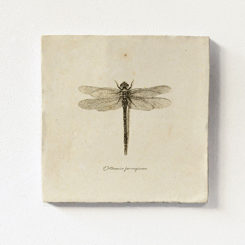 Magnetiline kahhelplaat | Dragonfly