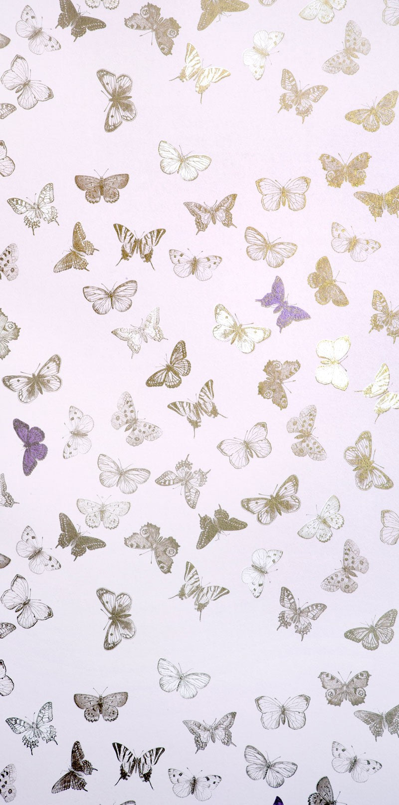 BUTTERFLY ROSE/BRASS tapeet
