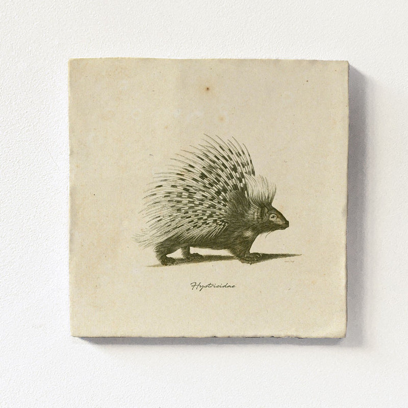 Magnetiline kahhelplaat | Porcupine